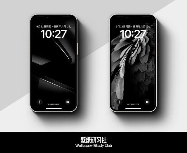 好看的手机屏幕壁纸（手机壁纸是什么？）