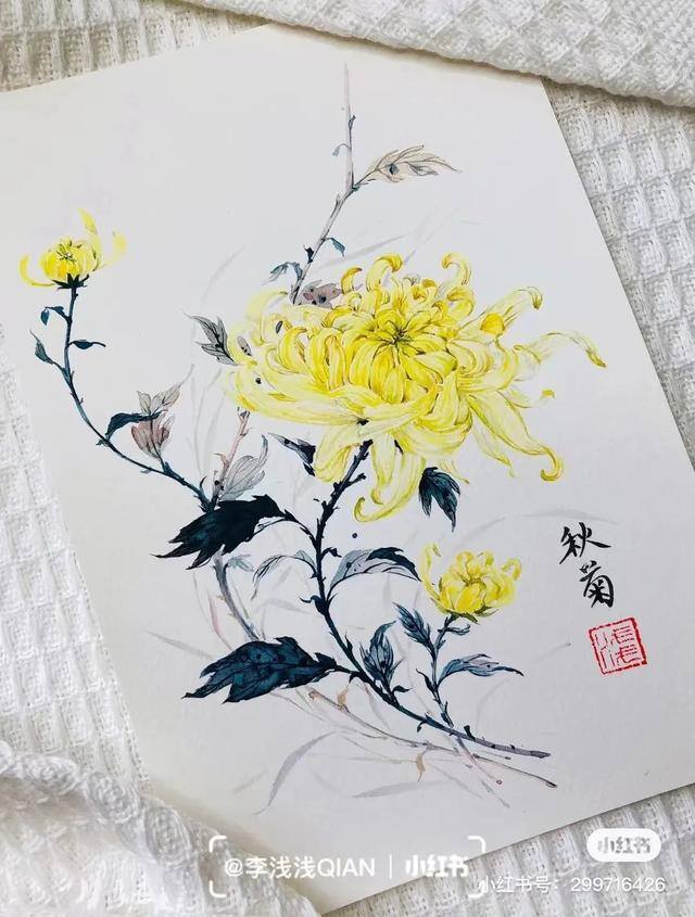 花朵怎么画最漂亮（中国风水彩花卉插画｜李浅浅qian）