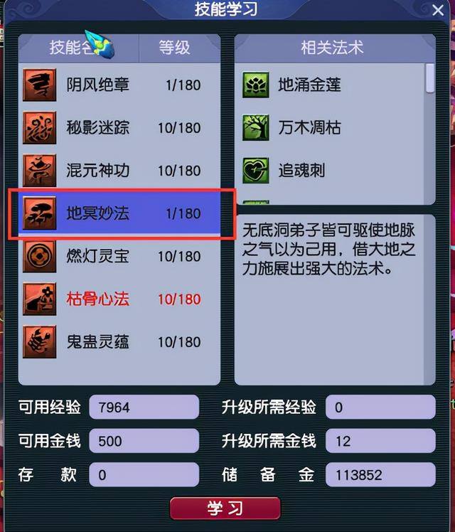 梦幻西游怎么玩（梦幻西游手游《极光决定五开技巧》）