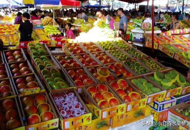 新手做批发水果生意怎么入手（去水果批发市场买水果应该注意哪些事项）