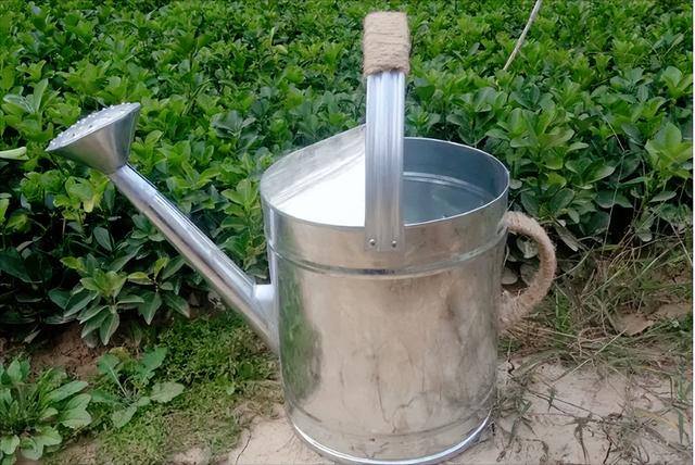 手工小制作简单方便（如何自制喷壶浇菜？）