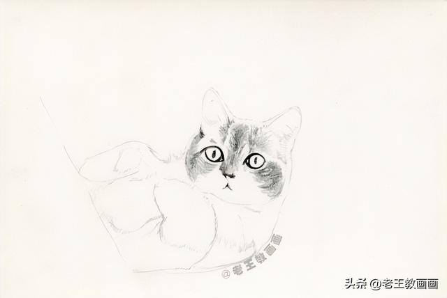 猫咪怎么画才好看又可爱（彩铅猫咪，看似不言不语，实则一直给你最长情的陪伴）