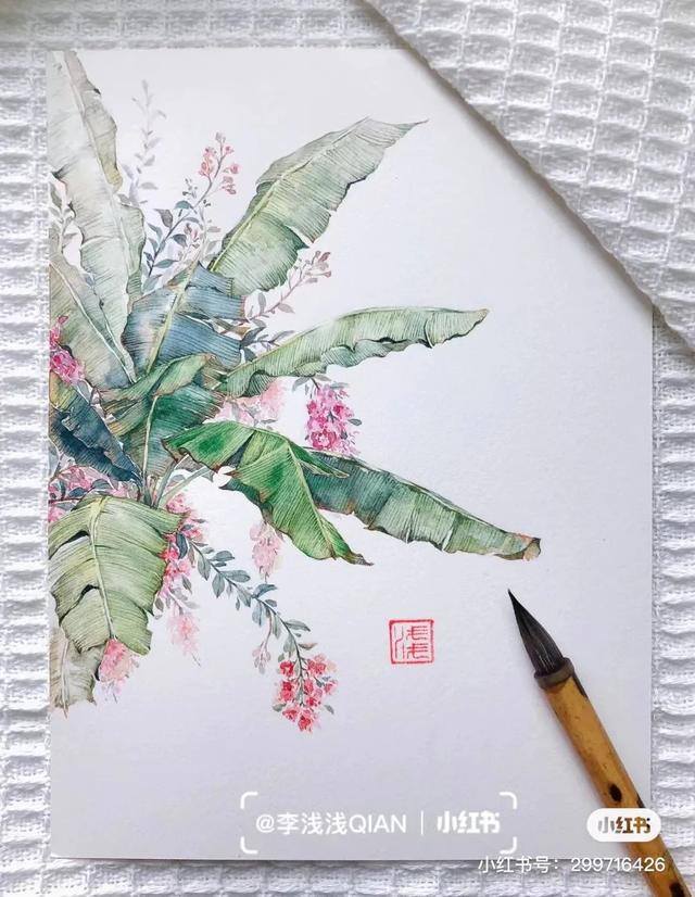 花朵怎么画最漂亮（中国风水彩花卉插画｜李浅浅qian）