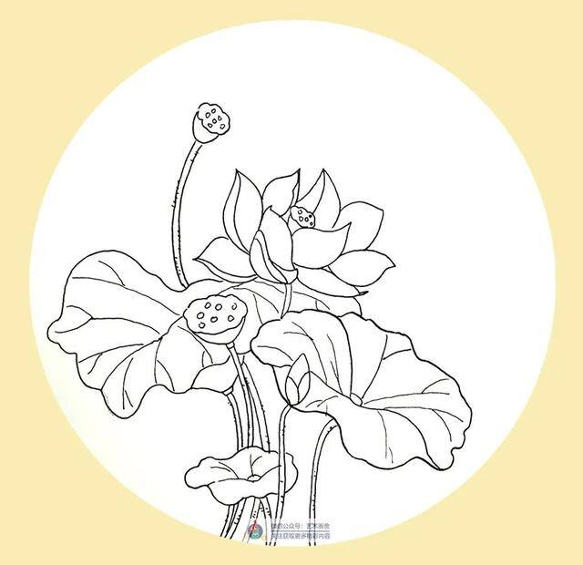 草怎么画简单又漂亮（水彩荷花的创作方法）