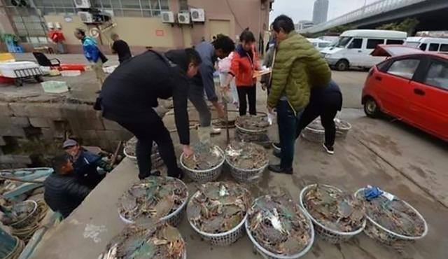创业养殖致富项目（螃蟹养殖基地的养殖户李建辉）