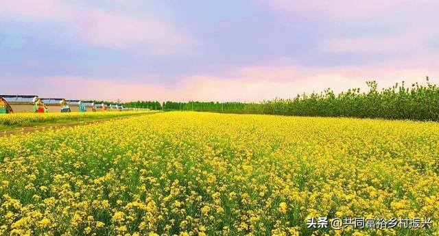 政府扶持的创业项目（乡村振兴，关键看这些）