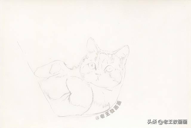 猫咪怎么画才好看又可爱（彩铅猫咪，看似不言不语，实则一直给你最长情的陪伴）