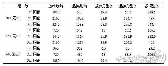 广西泥鳅养殖（泥鳅小体积网箱养殖技术）