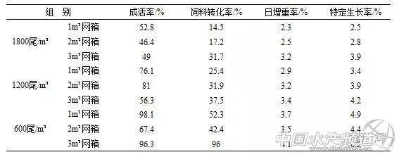 广西泥鳅养殖（泥鳅小体积网箱养殖技术）