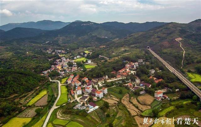 土鳖养殖到底赚钱吗（李家冲村：村民的“宝贝”）