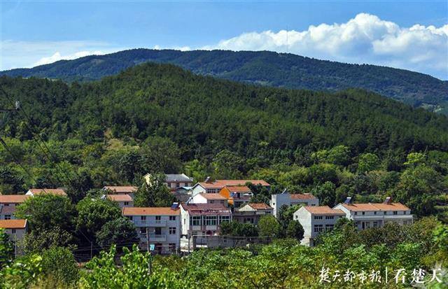 土鳖养殖到底赚钱吗（李家冲村：村民的“宝贝”）