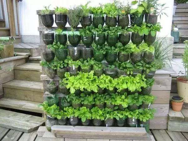 手工制作大全（塑料瓶这样做，居然这么好看！）