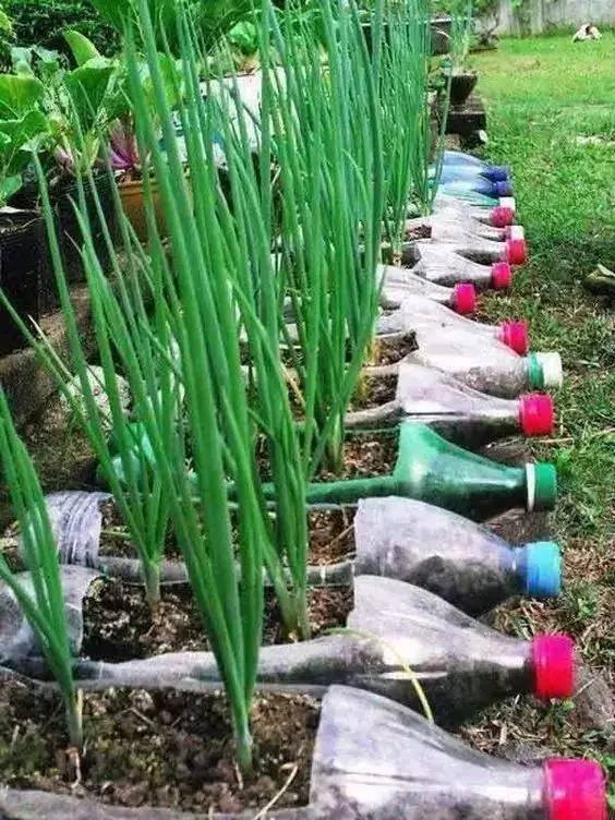 手工制作大全（塑料瓶这样做，居然这么好看！）