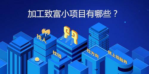 小加工项目有哪些（加工致富小项目有哪些？）