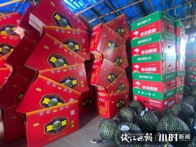 种西瓜一亩地赚多少钱（浙江农民在海南种瓜20年，每年放假三个月）