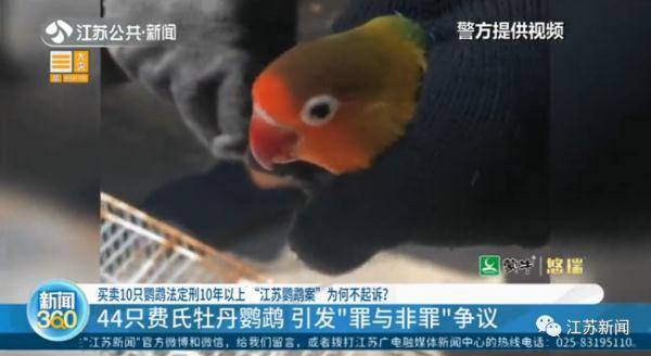 熊猫赚钱app官网下载（人工繁育野生动物=野外种群？）