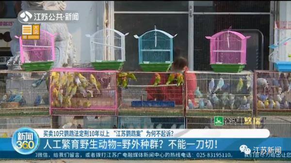 熊猫赚钱app官网下载（人工繁育野生动物=野外种群？）