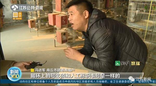熊猫赚钱app官网下载（人工繁育野生动物=野外种群？）