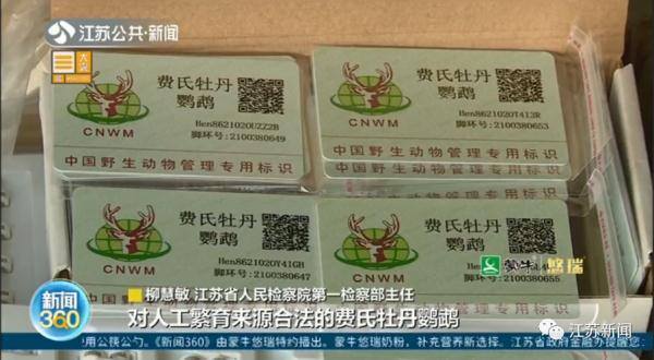 熊猫赚钱app官网下载（人工繁育野生动物=野外种群？）