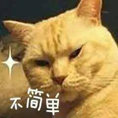 电脑一个月用多少度电（空调耗电最高的居然是它！）