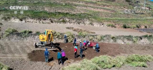 药材种植项目哪种最好（甘肃定西：19万亩中药材迎来大丰收）