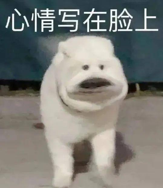 做任务赚佣金的平台（「净网2019」“双十一”诱鱼入局，小心被骗）