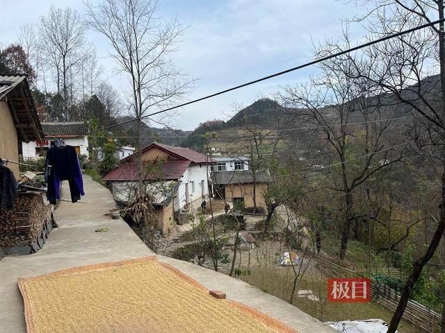 30万粉丝一个月挣多少钱（奶奶去世，母亲去世）