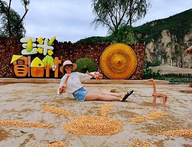 回家创业做什么项目比较好（农村创业做什么？）