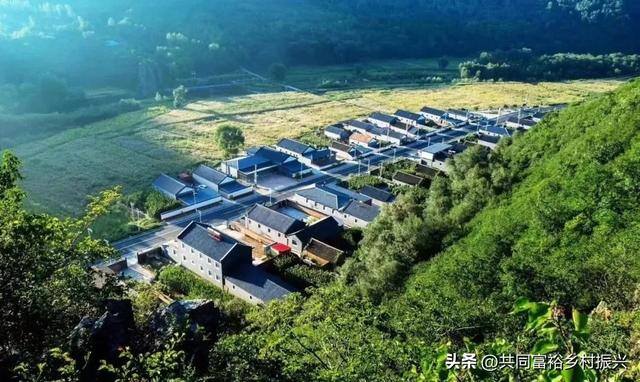 政府扶持的创业项目（乡村振兴，关键看这些）