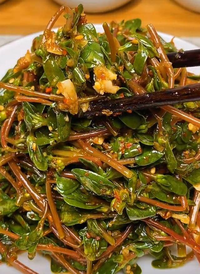 农村常见中草药300种（春天吃什么野菜？）