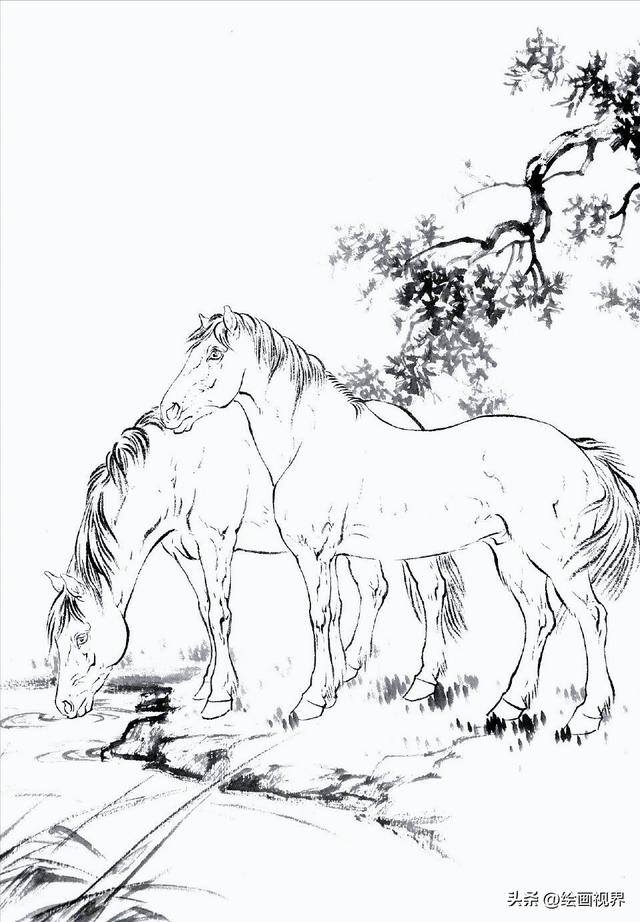 怎么画画既好看又简单（初学者怎么画马的白描线稿）
