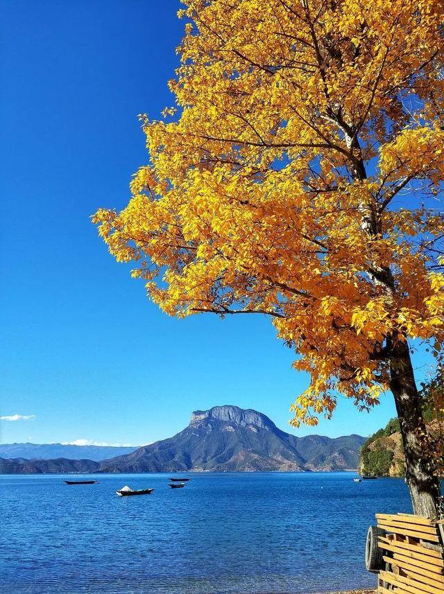 努力赚钱的图片（一个人漫山遍野是为了什么？）