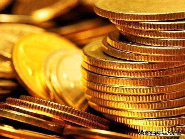 致富经一亩地赚60万（《致富经》的花式取名，巧设悬念，堪称标题党祖师级别）