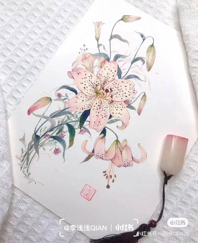 花朵怎么画最漂亮（中国风水彩花卉插画｜李浅浅qian）