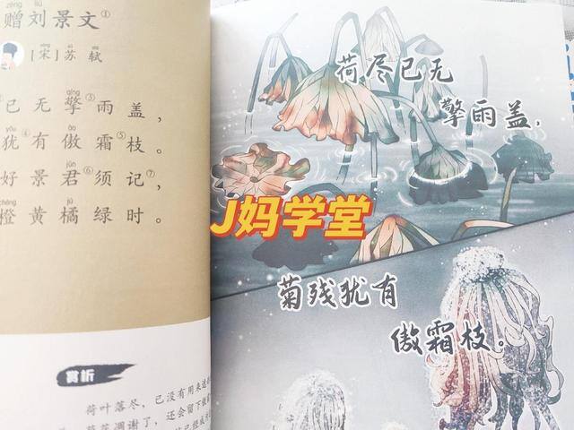 小学学历怎么提升（如何提高孩子的学习效率？）