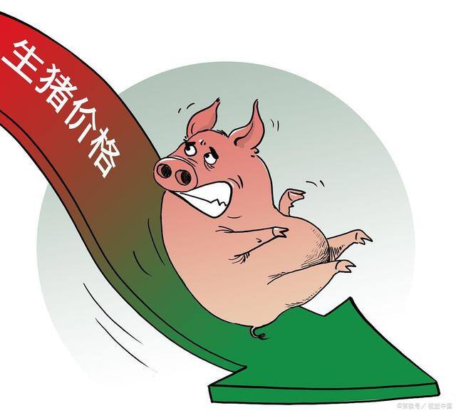 现在养猪还行吗还能赚到钱吗（猪价跌回7元区间之内，养猪人心里的分水岭！）