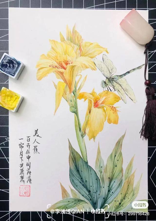 花朵怎么画最漂亮（中国风水彩花卉插画｜李浅浅qian）