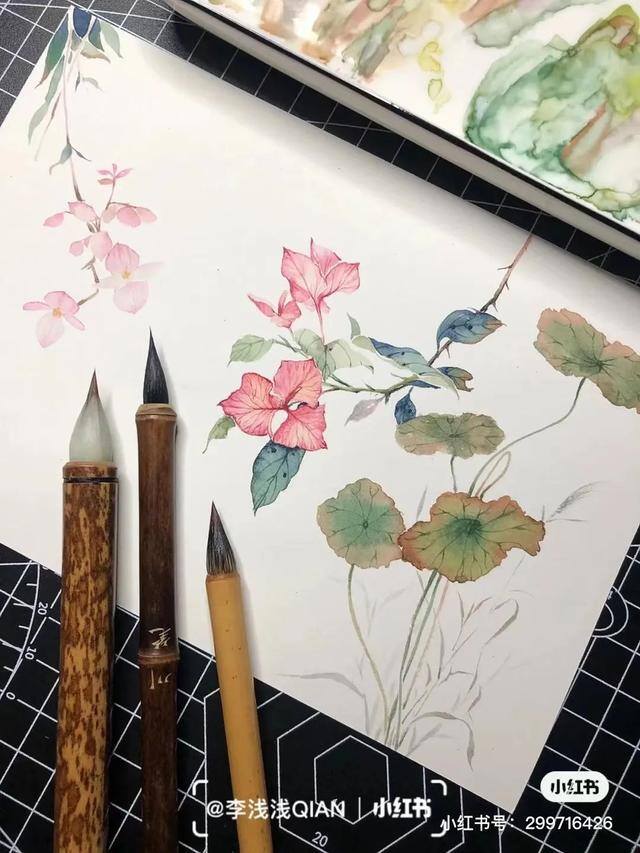花朵怎么画最漂亮（中国风水彩花卉插画｜李浅浅qian）