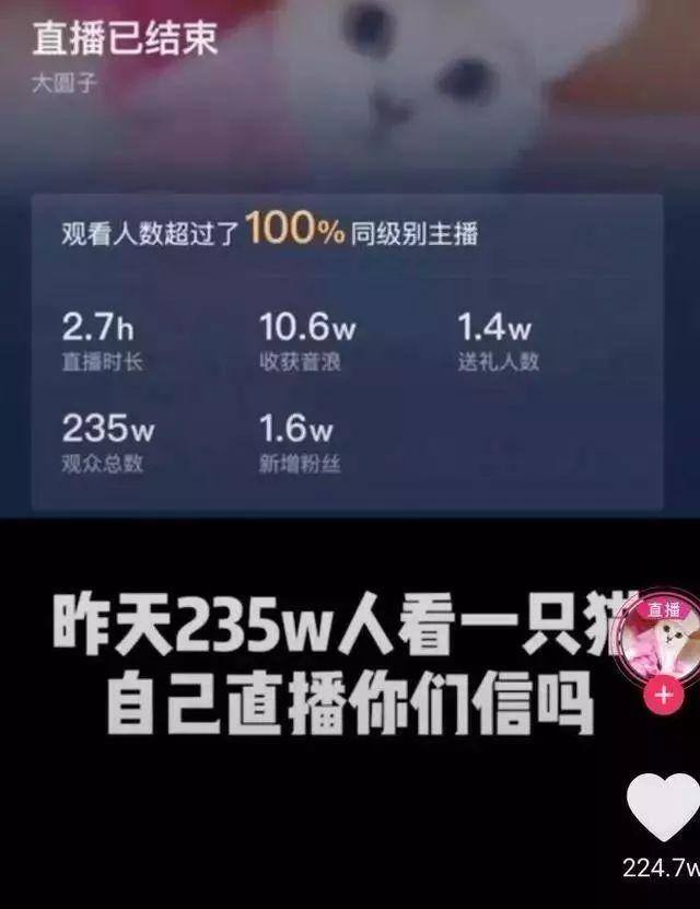 网易云直播一天能赚多少钱（“云蹦迪”、“云音乐节”、“云睡觉”、“云音乐节”…）