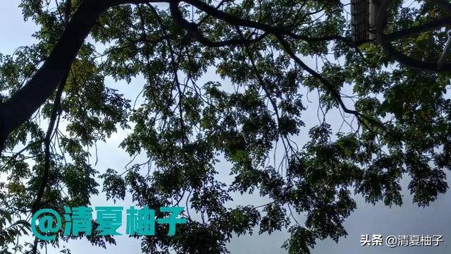 抱一抱微信表情包（内心强大的人才会笑到最后）