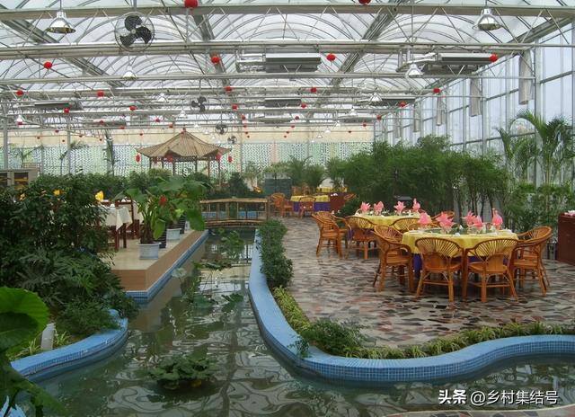 新型农业项目有哪些（新型农业种植技术）
