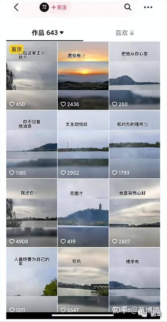 正规赚钱软件哪个赚钱多（宠物入殓师副业）