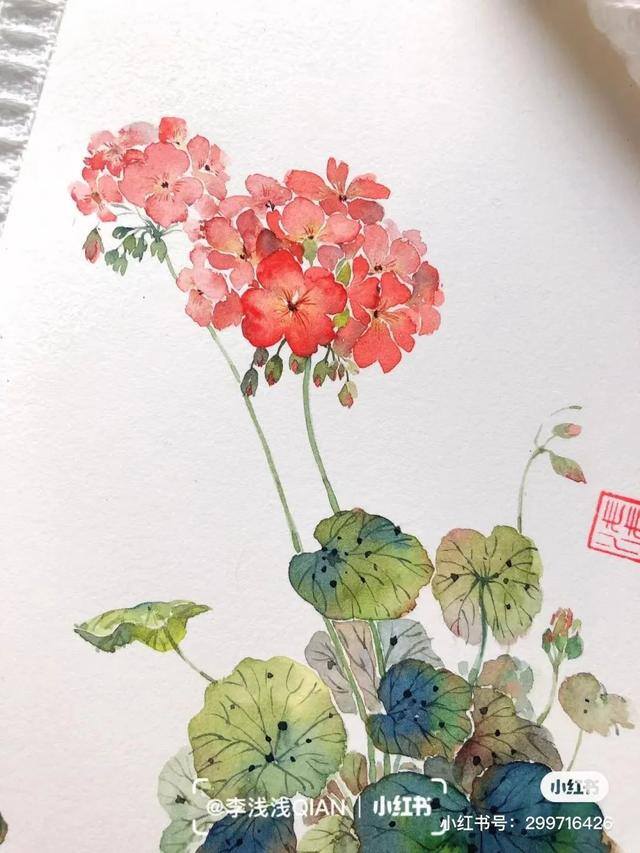 花朵怎么画最漂亮（中国风水彩花卉插画｜李浅浅qian）