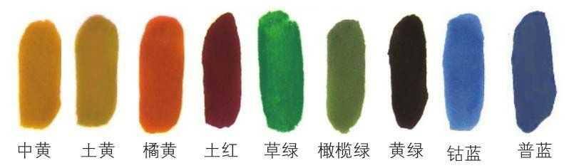 菠萝怎么画简单又好看（菠萝的水彩画法）