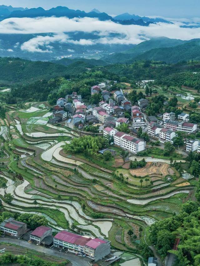 努力赚钱的图片（一个人漫山遍野是为了什么？）