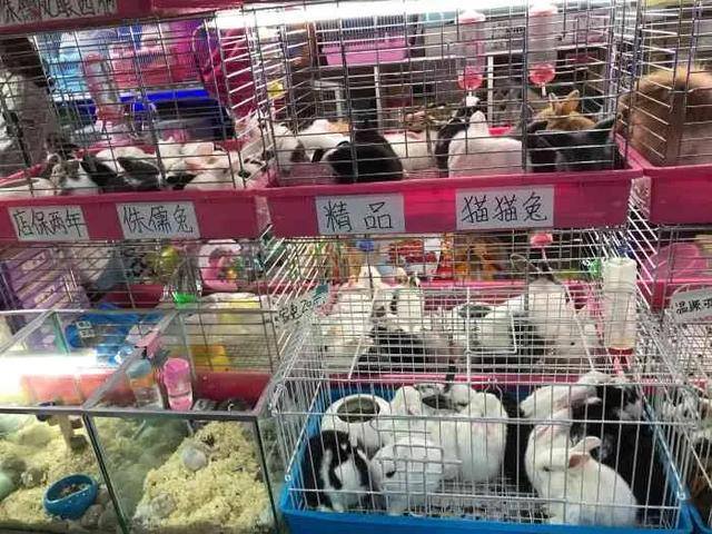 干点啥能挣钱（未来十年，哪些行业更适合普通人赚钱？）