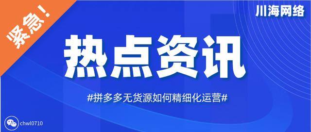 加盟代理好项目（拼多多无货源店群玩法）