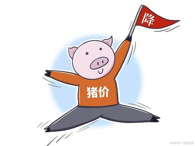 现在养猪还行吗还能赚到钱吗（猪价跌回7元区间之内，养猪人心里的分水岭！）