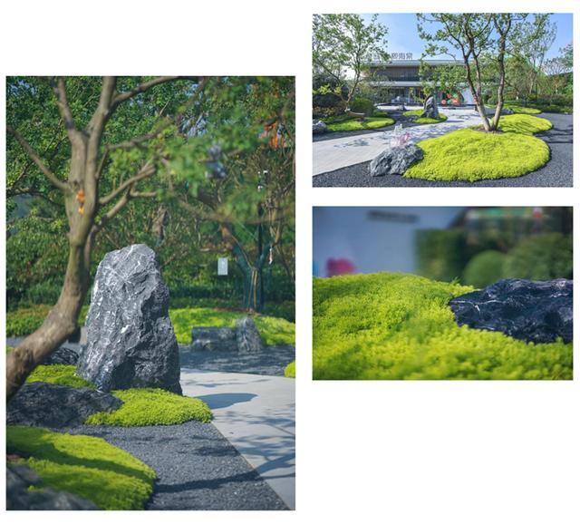 一亩地种什么挣10万（佛甲草在各类景观中的应用）
