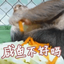 会计转行做什么工作比较好（银行的薪资结构）